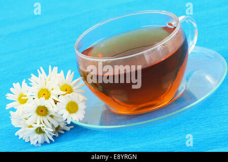 Tasse Tee und weißen Margeriten auf blauem Hintergrund mit Textfreiraum Stockfoto