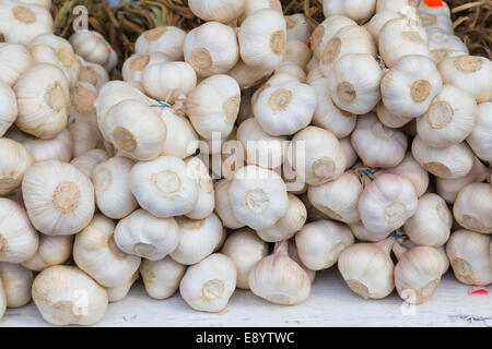 Knoblauchzehen auf einem Markt Stockfoto