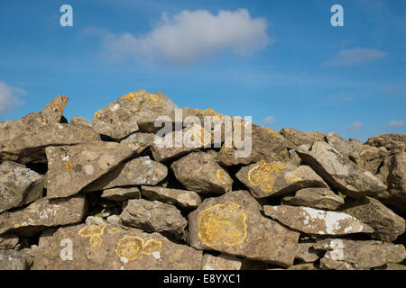 Eine Trockenmauer (auch bekannt als eine Trockenstein Deich, Drystane Deich, Trockenstein Hecke oder Stein Zaun) in Lincolnshire, England. Stockfoto