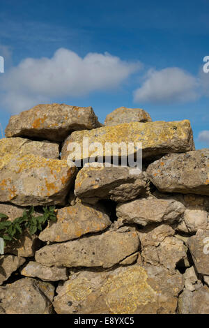 Eine Trockenmauer (auch bekannt als eine Trockenstein Deich, Drystane Deich, Trockenstein Hecke oder Stein Zaun) in Lincolnshire, England. Stockfoto