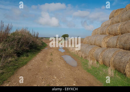 Eine eingeschränkte Byway, Lincolnshire, England. Stockfoto