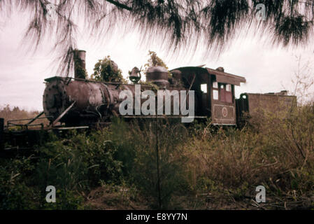 Dieses Foto zeigt eine verlassene Lokomotive in einer verlassenen Holzstadt, Copeland. Das Bild fängt die verfallenen Maschinen und die desolate Landschaft ein und spiegelt den Niedergang der einst blühenden Industrie wider. Stockfoto
