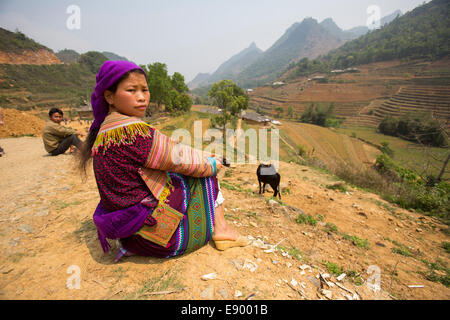 Vietnamesische Flower Hmong Frau sitzt oben Reisterrassen Stockfoto