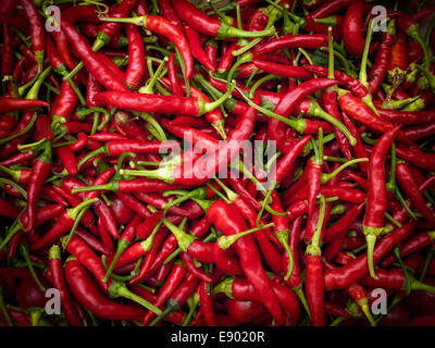 Viel frische und Reife scharfe Chilischoten Stockfoto