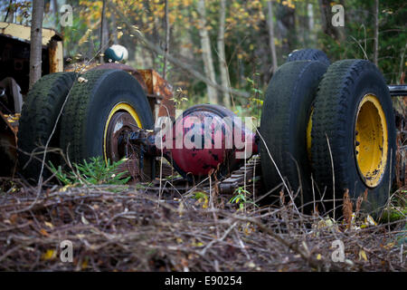 Alte Autos, die in einem Wald zwischen alten Häusern rosten sind Stockfoto