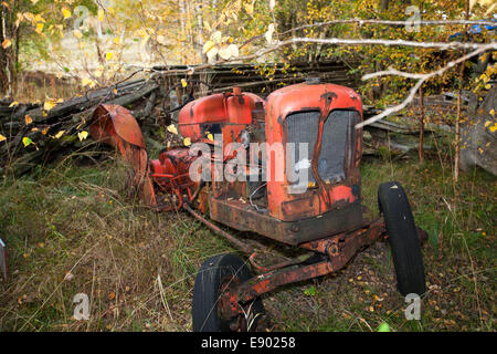 Alte Autos, die in einem Wald zwischen alten Häusern rosten sind Stockfoto