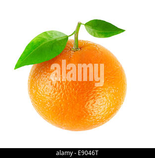 Orange, isoliert auf weiss Stockfoto