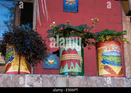 Pflanzen in Recycling Blechdosen an der Vorderseite des Hauses gepflanzt. Stockfoto