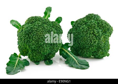 Reife Broccoli-Kohl, Isolated on White Stockfoto