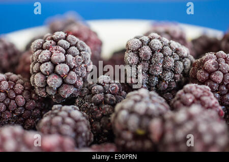 Die gefrorenen Beeren von Blackberry auf einem weiß-blauen Hintergrund Stockfoto