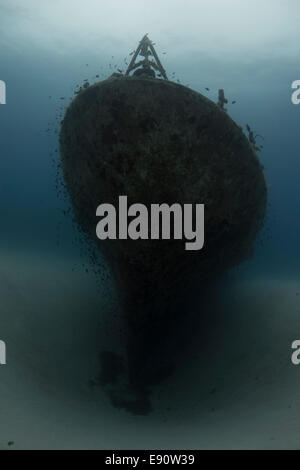 Unterwasser Wrack P31 Patrouillenboot im Mittelmeer in Comino, Malta. Stockfoto