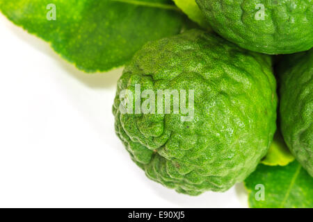 Gruppe der Kaffir-Limette oder Bergamotte-Frucht auf weißem Hintergrund. Stockfoto