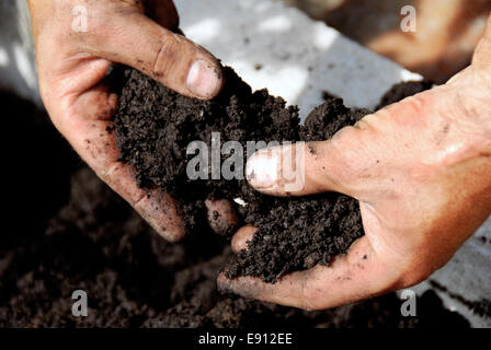 Schwarzerde Stockfoto