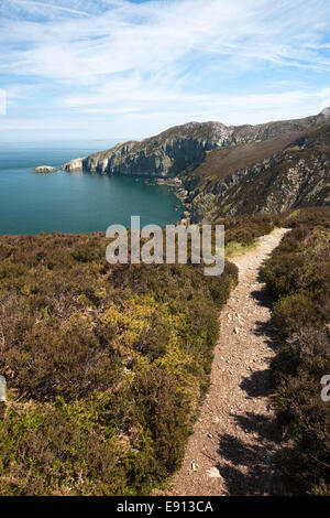 Die Anglesey Küste in der Nähe von South Stack, Wales Stockfoto