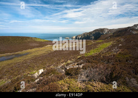 Die Anglesey Küste in der Nähe von South Stack, Wales Stockfoto