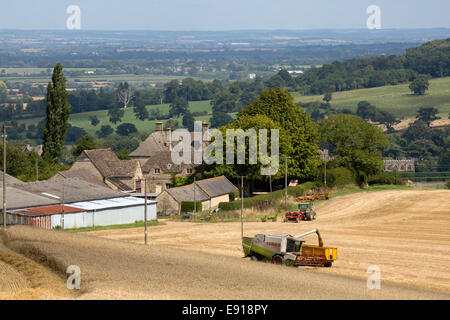 Mähdrescher ernten Weizenfeld, in der Nähe von Winchcombe, Cotswolds, Gloucestershire, England, Vereinigtes Königreich, Europa Stockfoto