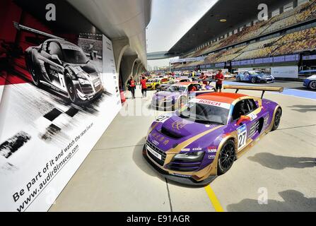 Shanghai, China. 17. Oktober 2014. Audi R8 LMS Cup am Shanghai International Circuit. FMCS offiziellen freien Training. Bildnachweis: Marcio Machado/ZUMA Draht/Alamy Live-Nachrichten Stockfoto