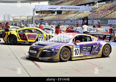 Shanghai, China. 17. Oktober 2014. Audi R8 LMS Cup am Shanghai International Circuit. FMCS offiziellen freien Training. Bildnachweis: Marcio Machado/ZUMA Draht/Alamy Live-Nachrichten Stockfoto