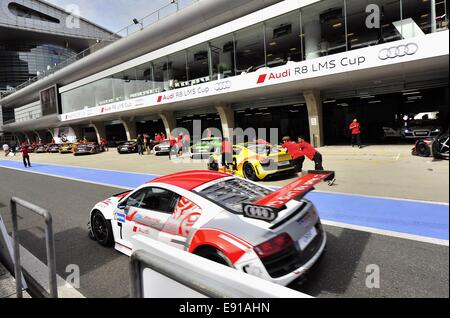 Shanghai, China. 17. Oktober 2014. Audi R8 LMS Cup am Shanghai International Circuit. FMCS offiziellen freien Training. Bildnachweis: Marcio Machado/ZUMA Draht/Alamy Live-Nachrichten Stockfoto