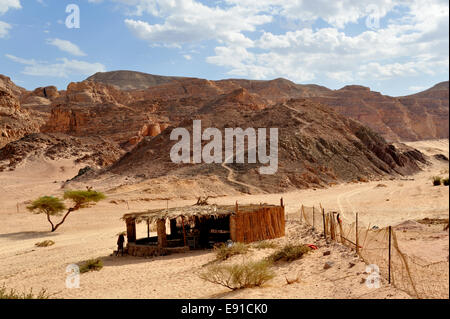 Schutz vor Ain Hudra (oder Ayun Khodra) Oase in Süd-Sinai Wüste Beduinen-Camp, Ägypten Stockfoto