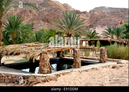 Wasser Lagertanks an Ain Hudra (oder Ayun Khodra) Oase in Süd-Sinai Wüste Beduinen-Camp, Ägypten Stockfoto