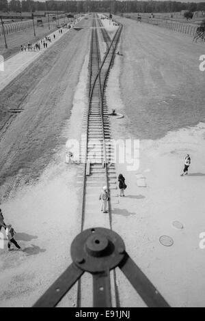 Auf der Suche über Schienen vom Eingang Turm im Konzentrationslager Auschwitz-Birkenau, Auschwitz, Polen - infrarot Wirkung Stockfoto