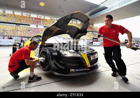 Shanghai, China. 17. Oktober 2014. Audi R8 LMS Cup am Shanghai International Circuit. FMCS offiziellen freien Training. Bildnachweis: Marcio Machado/ZUMA Draht/Alamy Live-Nachrichten Stockfoto