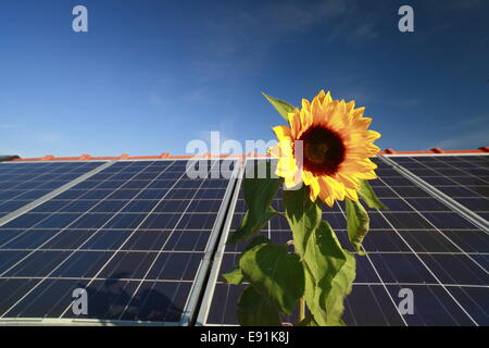 Solar-Dach Stockfoto