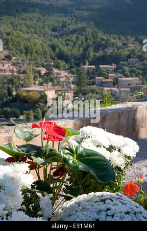 Deià, Mallorca, Balearen, Spanien. Bunte Blumen im Friedhof der Pfarrkirche, die Església de Sant Joan Baptista. Stockfoto