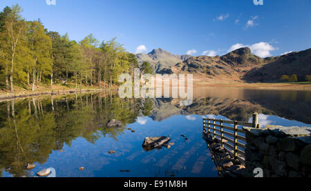 Nationalpark Lake District, Cumbria, England. Blick über den ruhigen Blea Tarn Langdale Pikes. Stockfoto