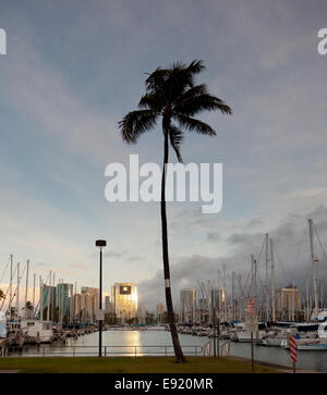 Die Innenstadt von Honolulu im Morgengrauen Ala Wai Hafen Stockfoto