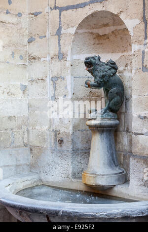Löwe-Trinkbrunnen in der Wand des Rathauses Stockfoto
