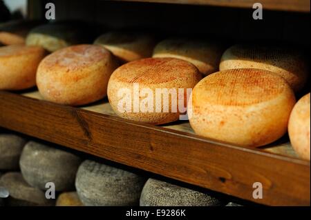 Pecorino Stockfoto