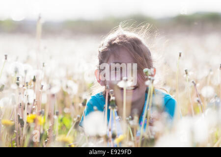 junges Mädchen in einer Löwenzahn Wiese Stockfoto