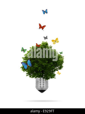 Eco-Konzept: Glühbirne mit Baum wächst in Stockfoto