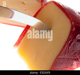 Runde Wachs bedeckt holländischen Edamer Gouda Käse Stockfoto