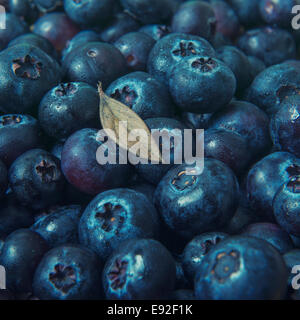 Frische Heidelbeeren mit Blatt Stockfoto