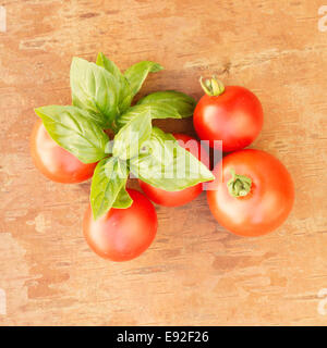Stillleben mit frischen Bio Tomaten und Basilikum Blätter auf Holzuntergrund Stockfoto