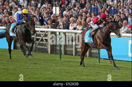 Newmarket, Großbritannien. 17. Oktober 2014. Newmarket Dubai zukünftige Champions Tag. Belardo unter Andrea Atzeni gewann die Dubai Dewhurst Stakes (Gruppe 1) Credit: Action Plus Sport/Alamy Live News Stockfoto