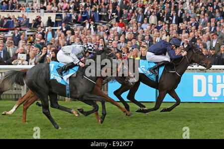 Newmarket, Großbritannien. 17. Oktober 2014. Newmarket Dubai zukünftige Champions Tag. Für immer zusammen unter Joseph O'Brien die Dubai Fillies´ Meile (Gruppe 1) Kredit zu gewinnen: Action Plus Sport/Alamy Live News Stockfoto