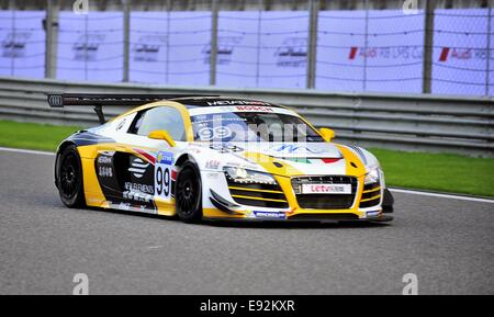 Shanghai, China. 17. Oktober 2014. Audi R8 LMS Cup am Shanghai International Circuit. FMCS offiziellen freien Training. Bildnachweis: Marcio Machado/ZUMA Draht/Alamy Live-Nachrichten Stockfoto