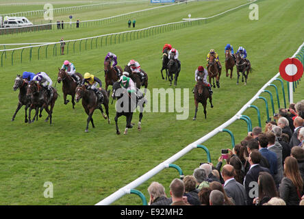 Newmarket, Großbritannien. 17. Oktober 2014. Newmarket Dubai zukünftige Champions Tag. Hier kommt wenn unter Jim Crowley gewinnen die vision.ae Challenge Stakes (Gruppe 2) Credit: Action Plus Sport/Alamy Live News Stockfoto