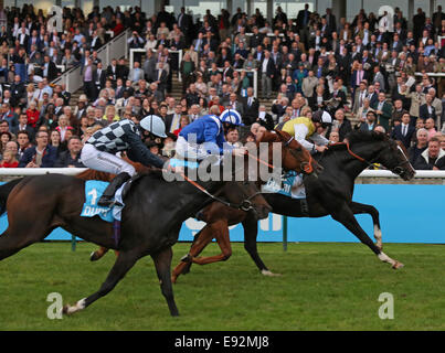 Newmarket, Großbritannien. 17. Oktober 2014. Newmarket Dubai zukünftige Champions Tag. Berkshire unter Jim Crowley Darley Stakes (Gruppe 3) Kredit zu gewinnen: Action Plus Sport/Alamy Live News Stockfoto