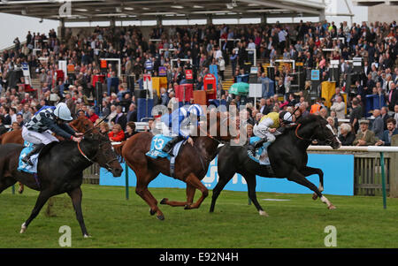 Newmarket, Großbritannien. 17. Oktober 2014. Newmarket Dubai zukünftige Champions Tag. Berkshire unter Jim Crowley Darley Stakes (Gruppe 3) Kredit zu gewinnen: Action Plus Sport/Alamy Live News Stockfoto