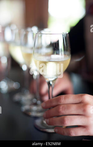 Hand aufs Glas Weißwein neben Zeile der Gläser von Weißwein Stockfoto
