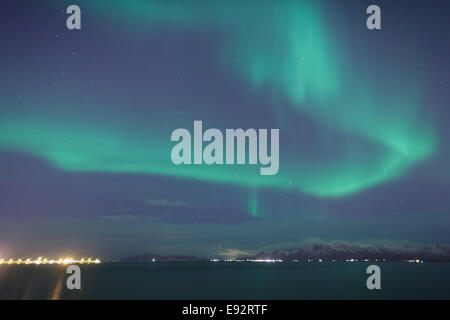 Grünen Nordlichter (Aurora Borealis) in Harbour Island Stockfoto