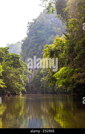 Flusses Melinau durchzogen Regenwald, Gunung Mulu National Park, Sarawak, Malaysia, Borneo Stockfoto