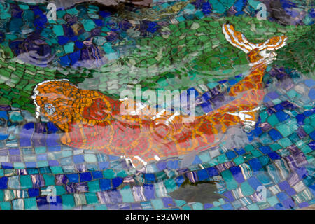 Koi-Karpfen Fisch Mosaik unter Wasser Stockfoto