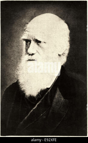 Charles Darwin (1809-1882), englischer Naturforscher, close-up Portrait, um 1870 Stockfoto