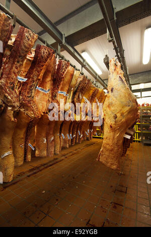 Rindfleisch in einem Kühlhaus hängend Stockfoto